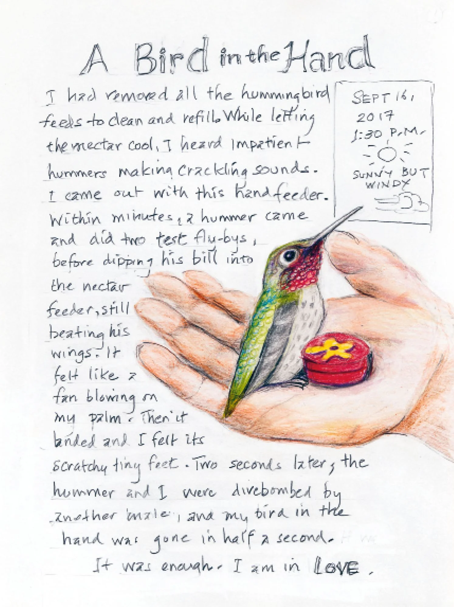 The Backyard Bird Chronicles (2024 B&N Gift Book of the Year) - Image 3