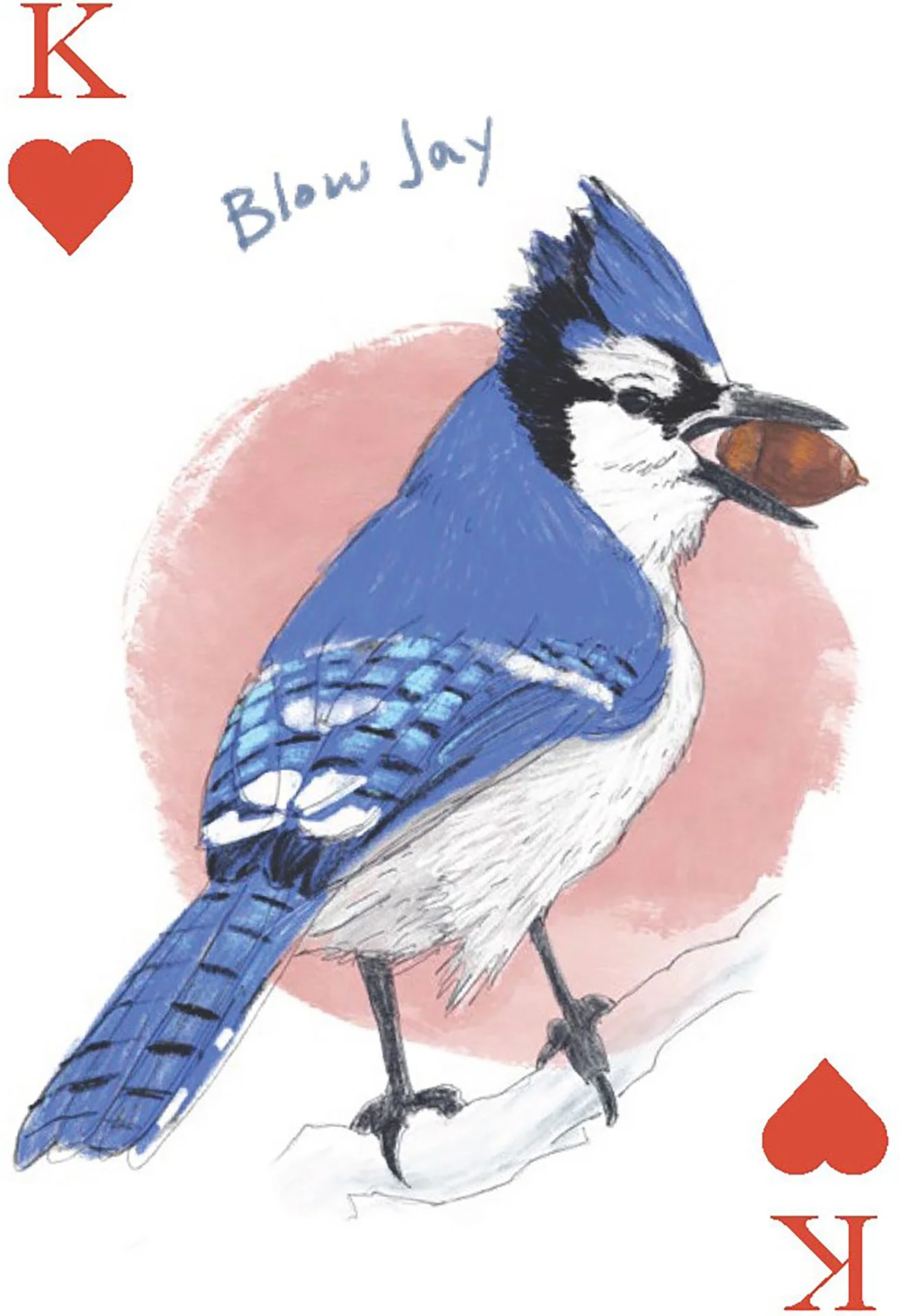 The Field Guide to Dumb Birds Playing Cards: 2-Deck Set - Image 4