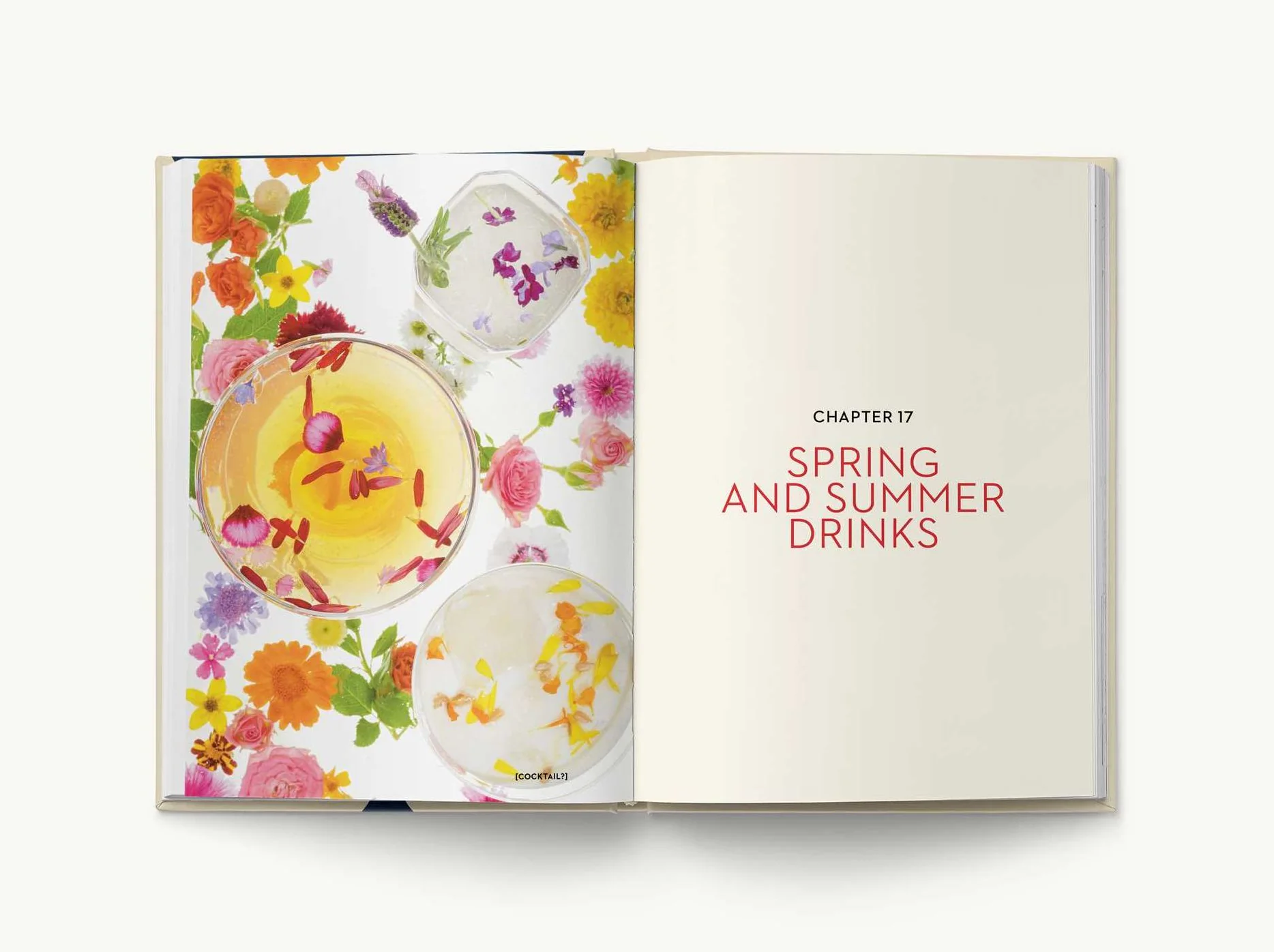 The New York Times Essential Book of Cocktails (Second Edition): Over 400 Classic Drink Recipes With Great Writing from The New York Times - Image 12