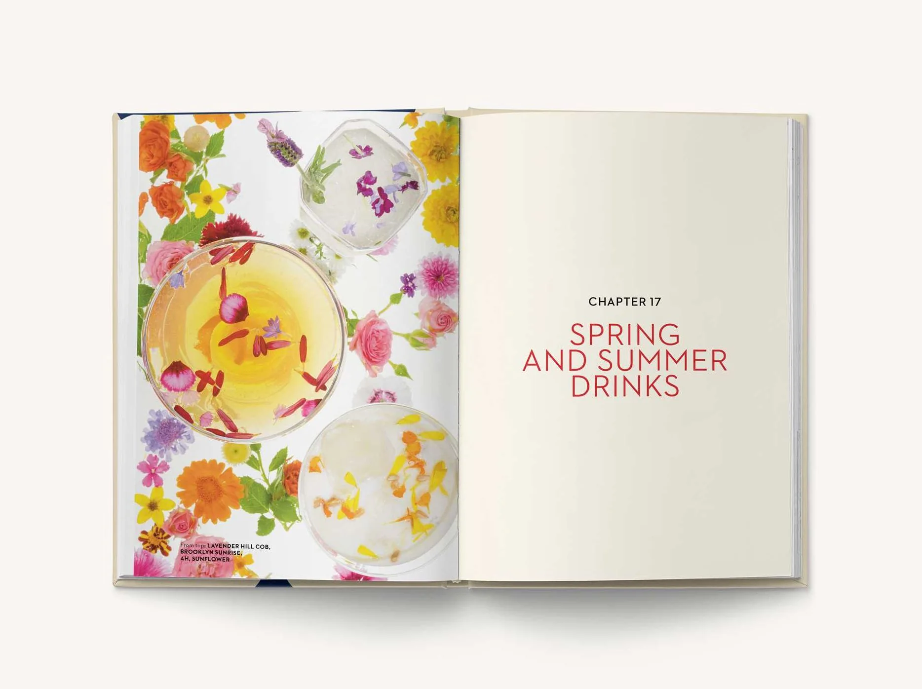 The New York Times Essential Book of Cocktails (Second Edition): Over 400 Classic Drink Recipes With Great Writing from The New York Times - Image 21