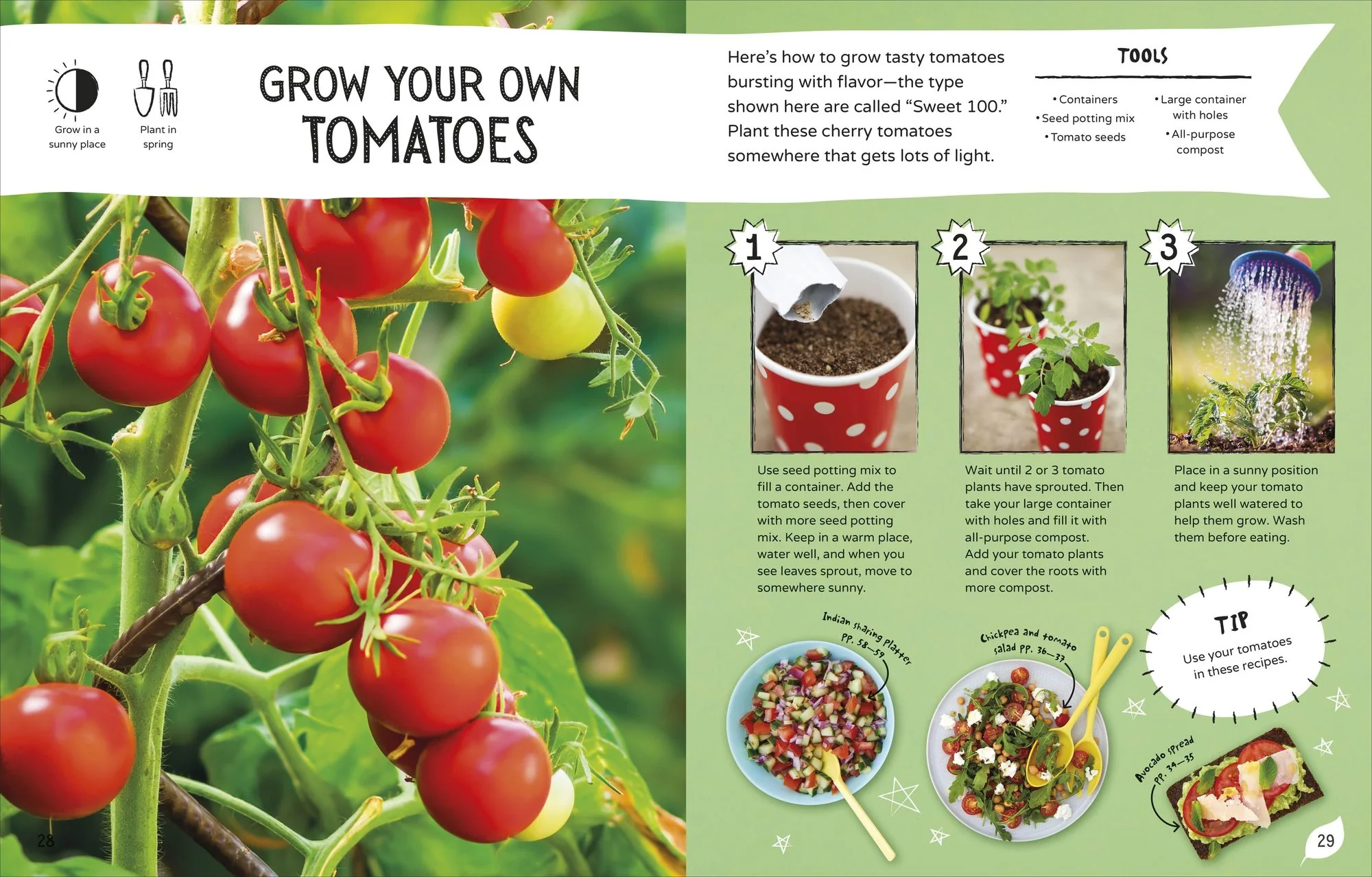 The No-Cook Cookbook - Image 2