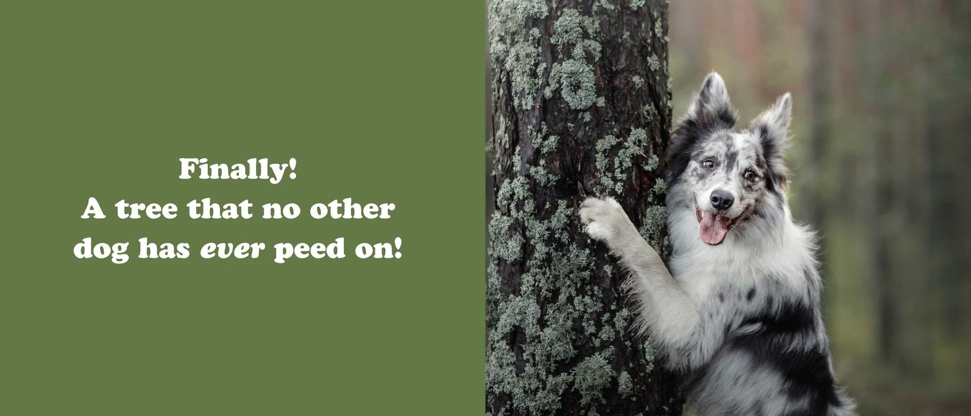 The Secret Thoughts of Dogs - Image 13