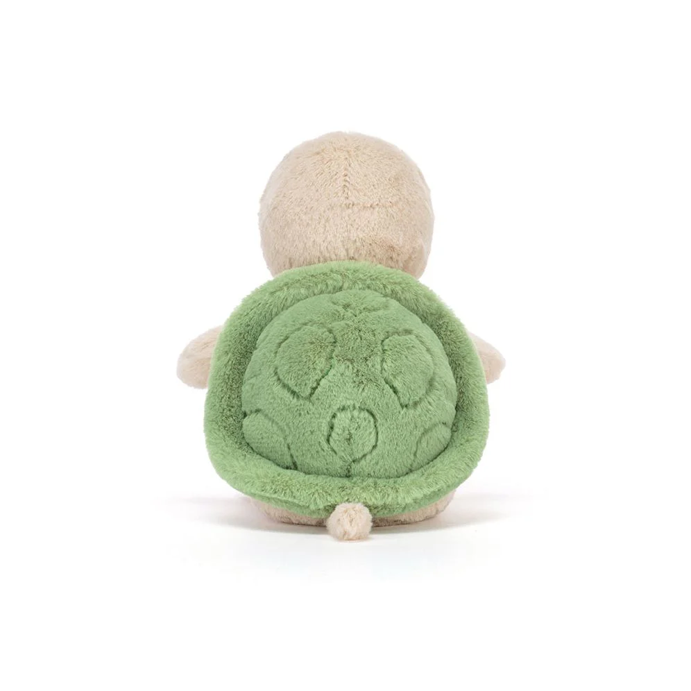 Thimble Turtle - Image 2