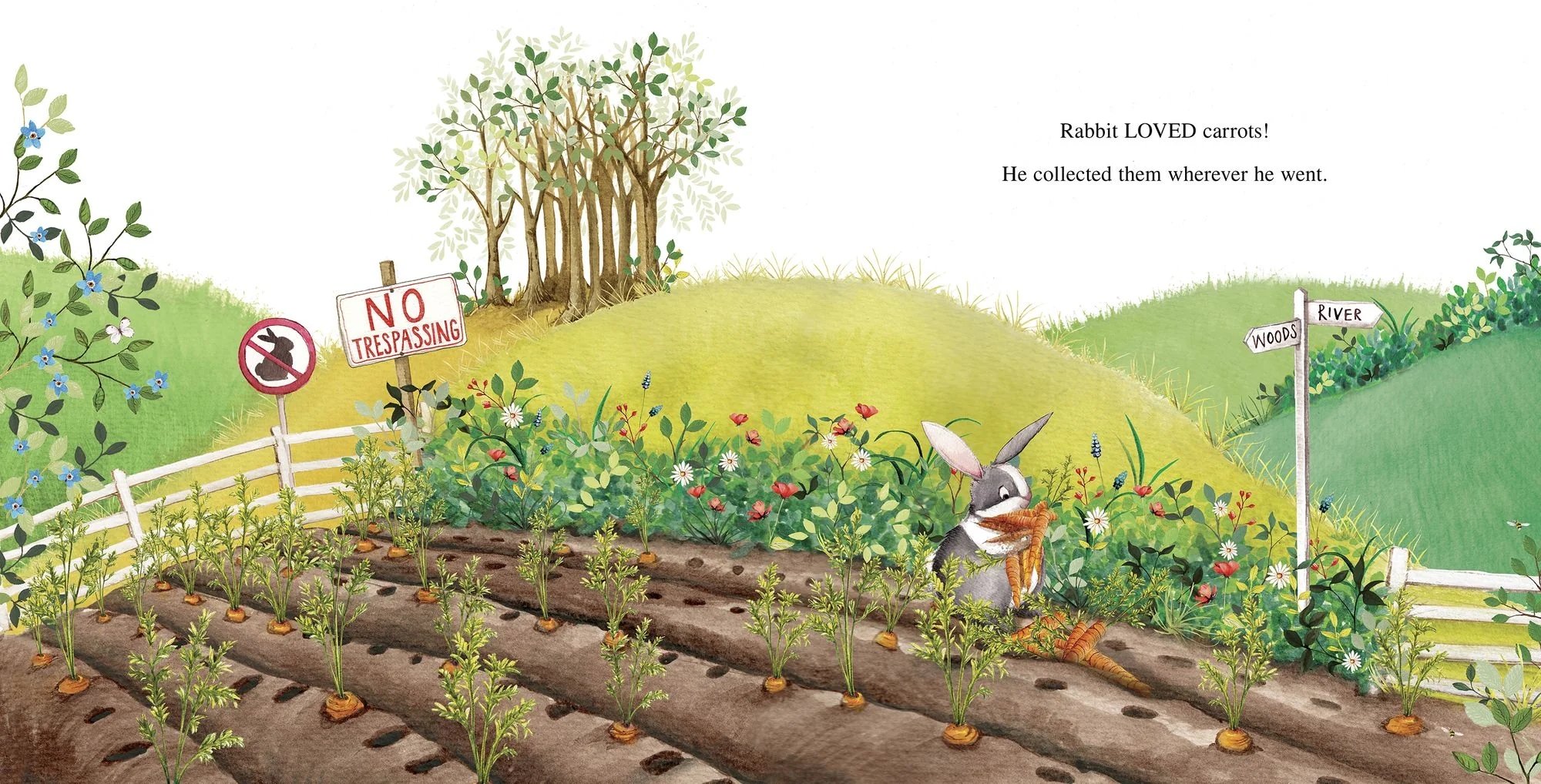 Too Many Carrots - Image 4