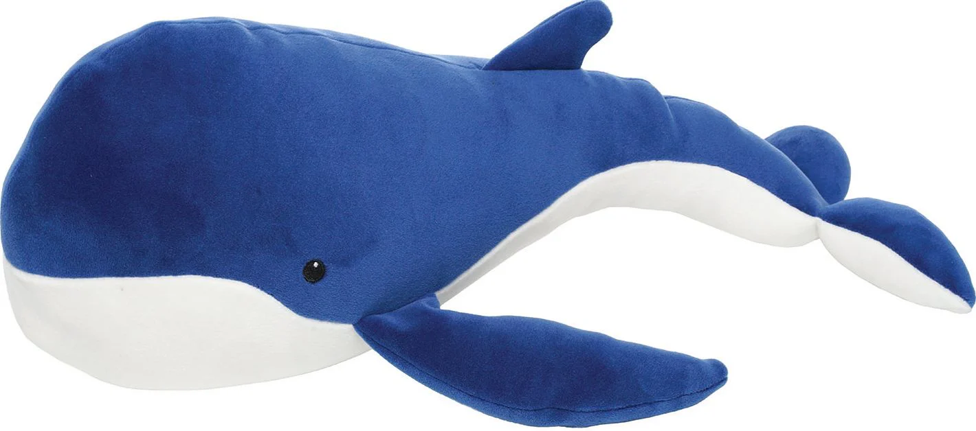 Under the Sea Whale