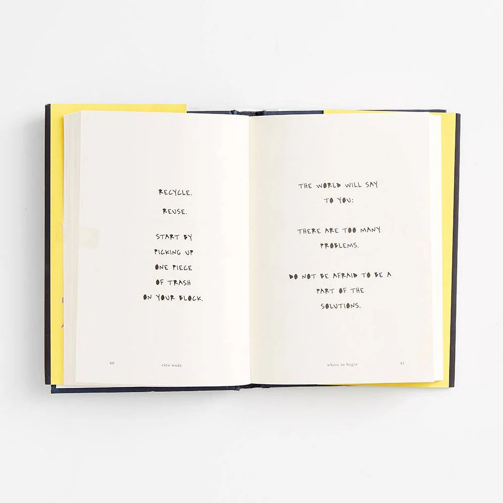 Where to Begin: A Small Book About Your Power to Create Big Change in Our Crazy World - Image 11