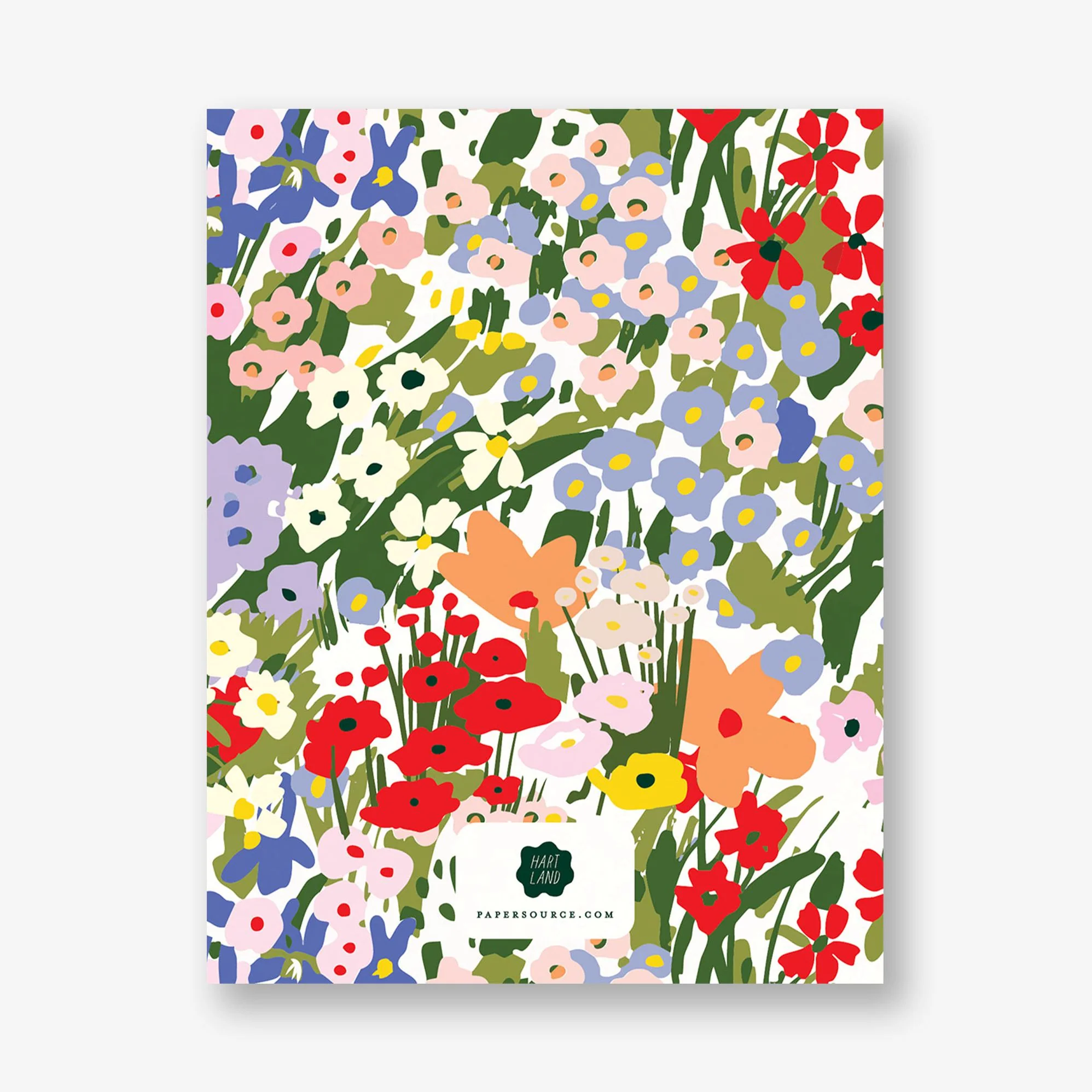 Wildflower Information Card - Image 2