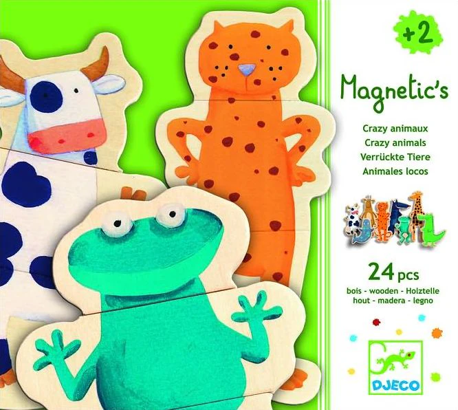 Wooden Magnets Crazy