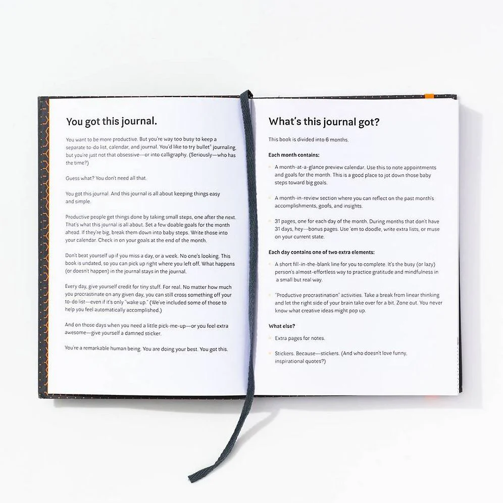 You Got This 6 Month Productivity Tracker - Image 7